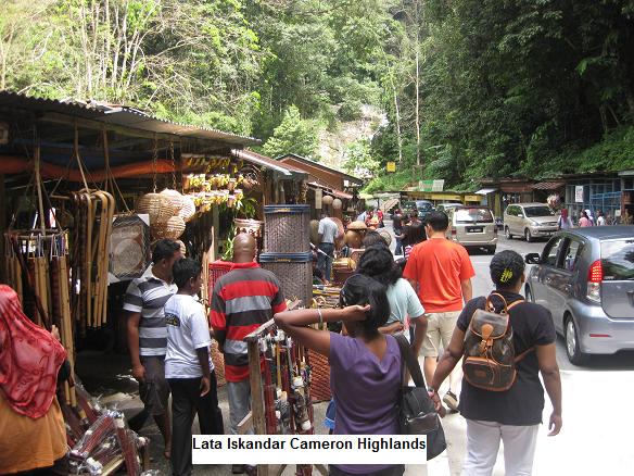 cameron highlands