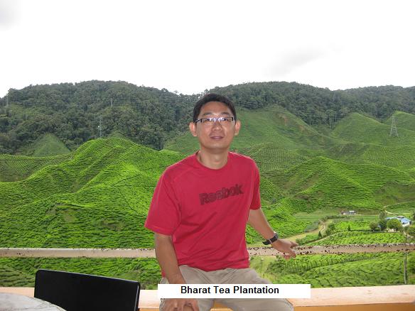 cameron highlands