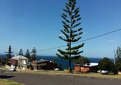 tathra wharf