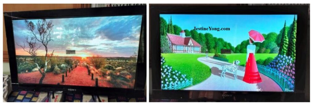 how to fix a broken sony lcd tv